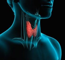 Cura della tiroide con la Cannabis