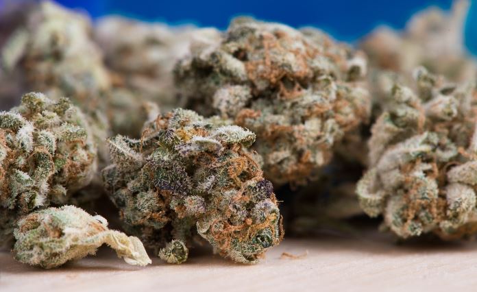Scadenza della Cannabis