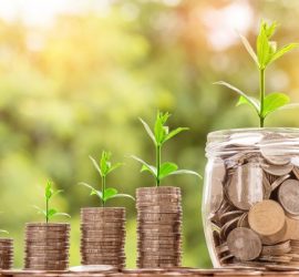 Cannabis economia e commercio