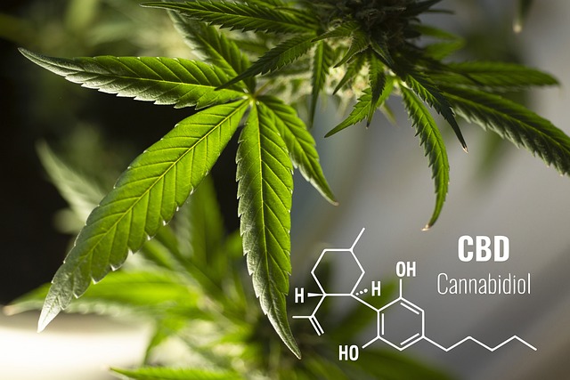 Il cbd